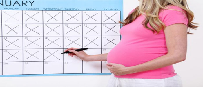 حاسبة الحمل بالميلادي والهجري